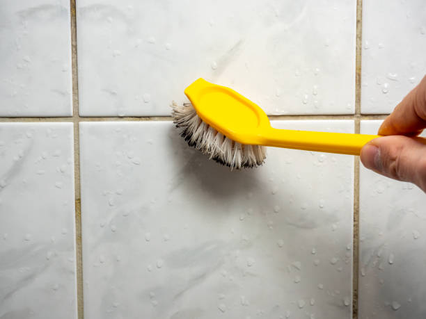 Certified Mold Removal in Springfield, KY