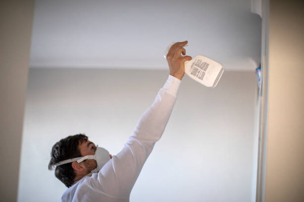 Best Mold Removal Near Me  in Springfield, KY