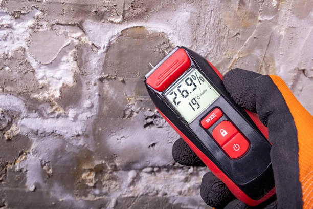 Best Mold Testing  in Springfield, KY
